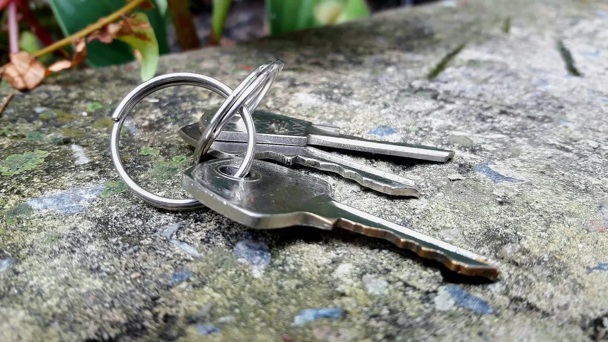 Molho com três chaves metálicas sobre pedra coberta de musgo